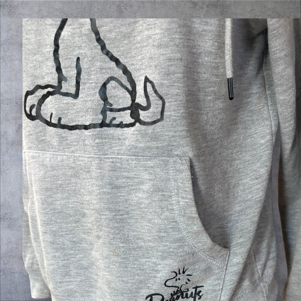 Gray Snoopy Dog Hoodie - Picture 2 of 7